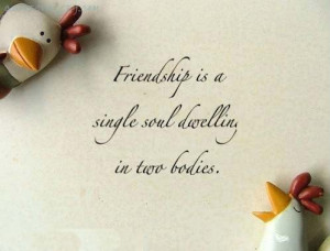Friendship Is A Single Soul Dwelling In Two Bodies