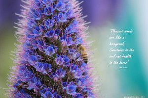 My photo collections with inspiring quotes