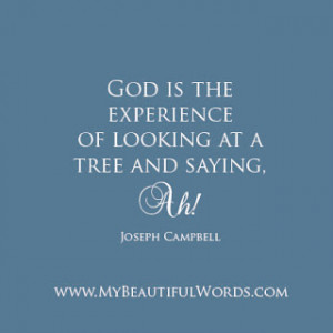 The Experience of God...