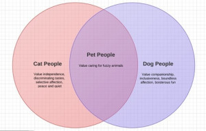 Are there 'cat' people and 'dog' people?