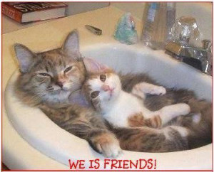 SEE MORE PICTURES of BUDDIES JUST LIKE THESE HERE !!!!