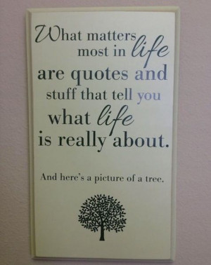 fake inspirational quote, funny photos