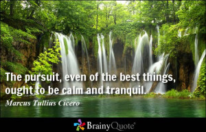 The pursuit, even of the best things, ought to be calm and tranquil.