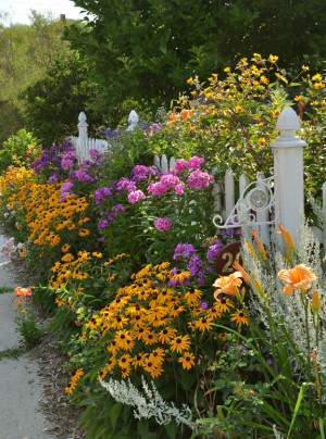 beautiful garden on both sides of the fence!