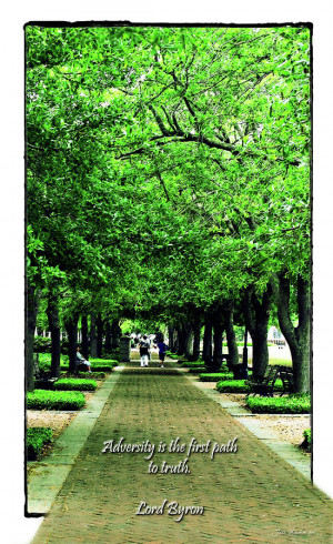 leadership in adversity quotes with the workplace member or leadership ...