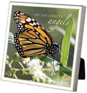 Gold Chakra Butterfly: Inspirational Butterfly Gifts