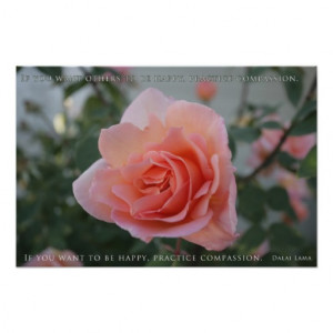 Education Quotes Posters Prints Zazzle
