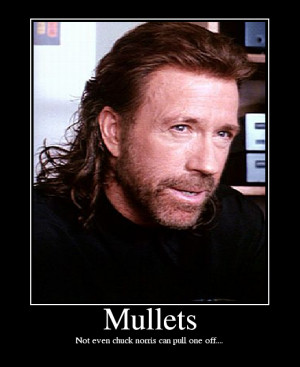 Go ahead...you be the first one to tell Chuck Norris mullets aren't ...