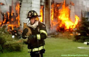 FIREMAN RESCUES FAMILIES PET CAT