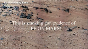 NASA_Shows_Life_on_Mars__150121.jpg?v=1377444621