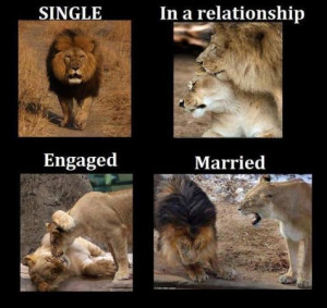 Stages Of Life - Single To Married