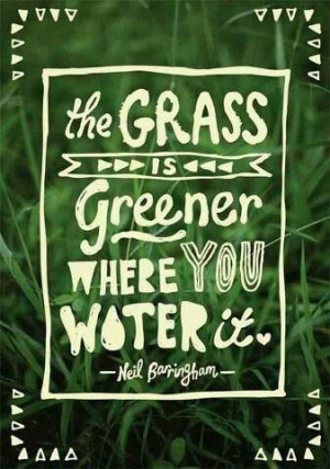 The grass is greener...
