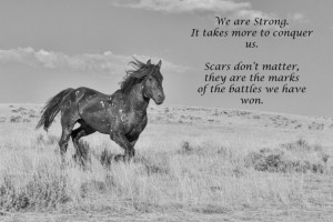 Battle Scars Inspirational Quote, Breast Cancer, Wild mustang - Fine ...