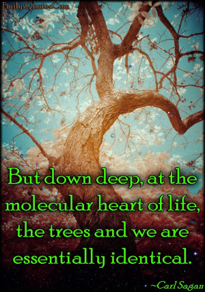 But down deep, at the molecular heart of life, the trees and we are ...
