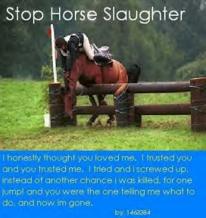 Stop-Horse-Slaughter-against-horse-slaughter-4362262-366-388.jpg