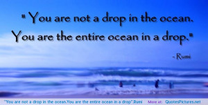 ... are not a drop in the ocean.You are the entire ocean in a drop”.Rumi