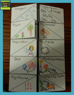 Vocabulary foldable for 5th grade life science. Students make a ...