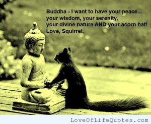 ... quote on the truths of the world buddha quote on time buddha quote on
