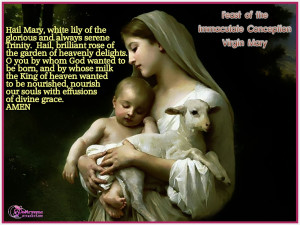 Virgin Mary Pictures and Wallpapers Feast of the Immaculate Conception
