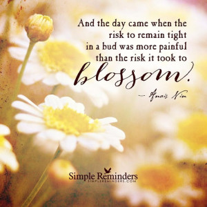 Found on stevemaraboli.com