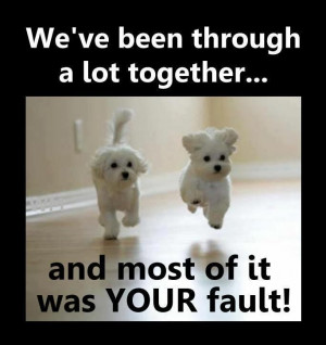 Sarcastic Inspiration: We've been through a lot together