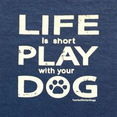 Life is short Play with your Dog .....click here to find out ...