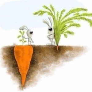 Things are not what they always seem