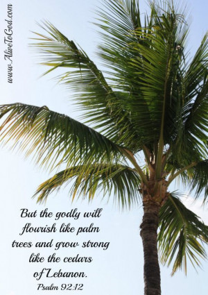 The palm tree is one of the most beautiful trees. It is associated ...