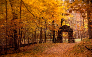 25 Stunning Fall Wallpapers
