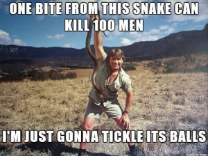 Funny-Steve-irwin-memes-pictures-jokes-resizecrop--.jpg