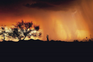Download Rain Storm In The Arizona Desert Hdr Photo