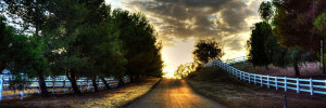 empty road at night twitter header cover
