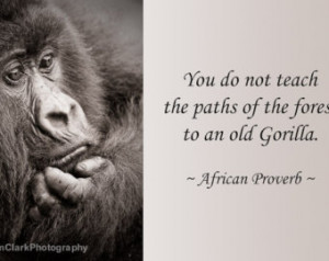 You Do Not Teach The Paths Of The Fores To An Old Gorilla