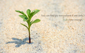 ... quotes description sand quotes plants 1600x1000 wallpaper is a very