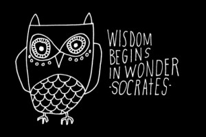 Quote Socrates Wisdom Owl Drawing