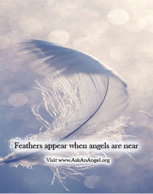 angel feathers from heaven