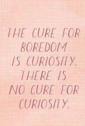 Curiosity quotes 41