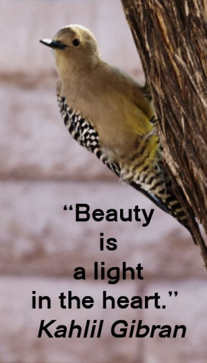 ... touchstone quotes on discovering the sacred at http://www.examiner.com