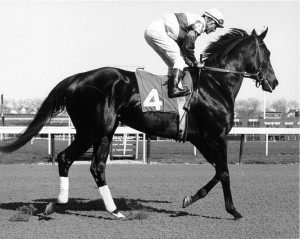 Ruffian: Racing's Greatest Filly