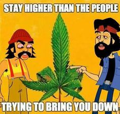 ... cheech chong comics book weed quotes stay higher cheech and chong