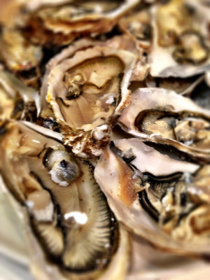 Funny Quotes Contact Us DMCA Notice