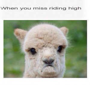 miss my truck!!! #liftedlife