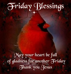 FRIDAYS BLESSING More