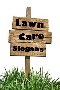 funny lawn care slogans