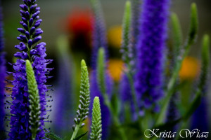 Free Will allows all of us to stay or to go and yet, when it is our ...