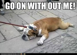 Wednesday’s Funny Pictures – 60 Pics