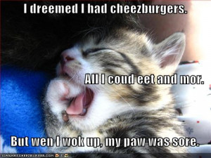 funny-pictures-kitten-dreams-of-eating-burgers-eats-self-instead ...