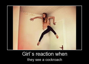 Girls Reaction When They See A Cockroach