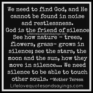 We need to find God, and he cannot be found in noise and restlessness ...