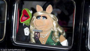... the looking glass: Kermit and Miss Piggy peer out at their fans